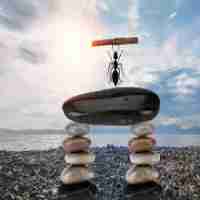 审﻿计​ 智﻿能‍化‌